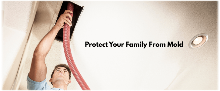 Air Duct Mold Removal in Wayne NJ